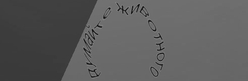 Text captcha